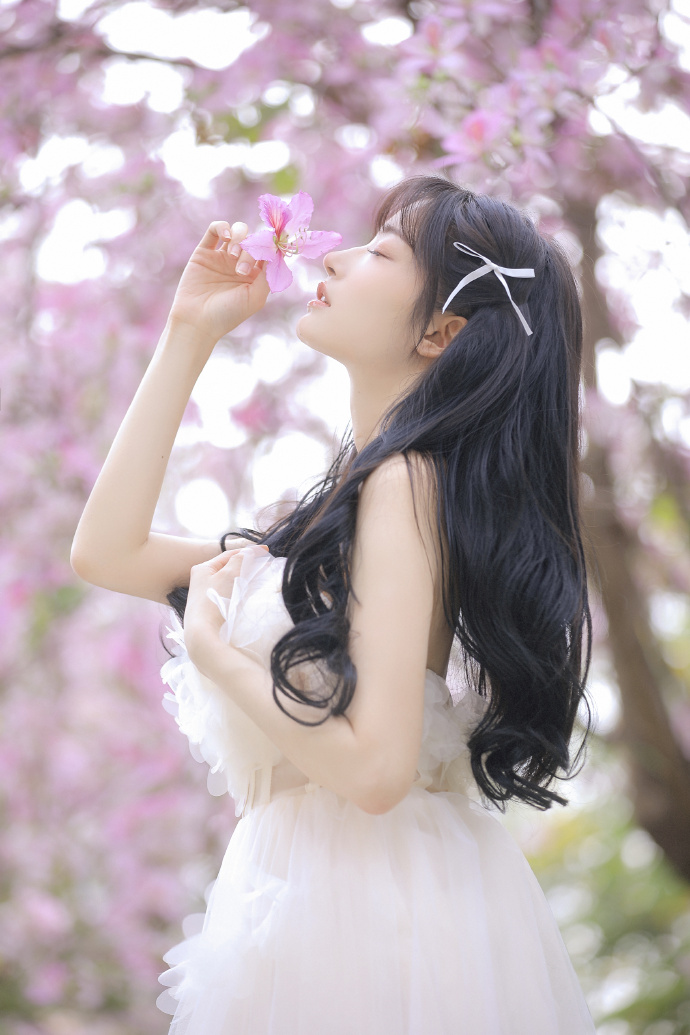 完美的日子 封面